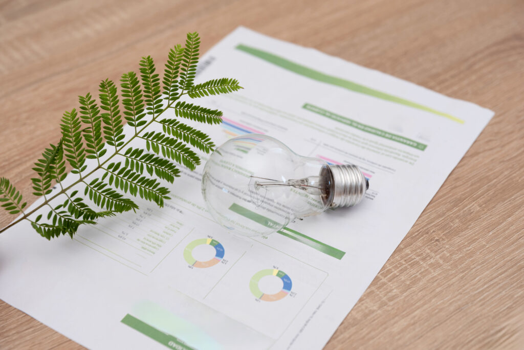 Certyfikaty zielonej energii - Świadectwo pochodzenia energii