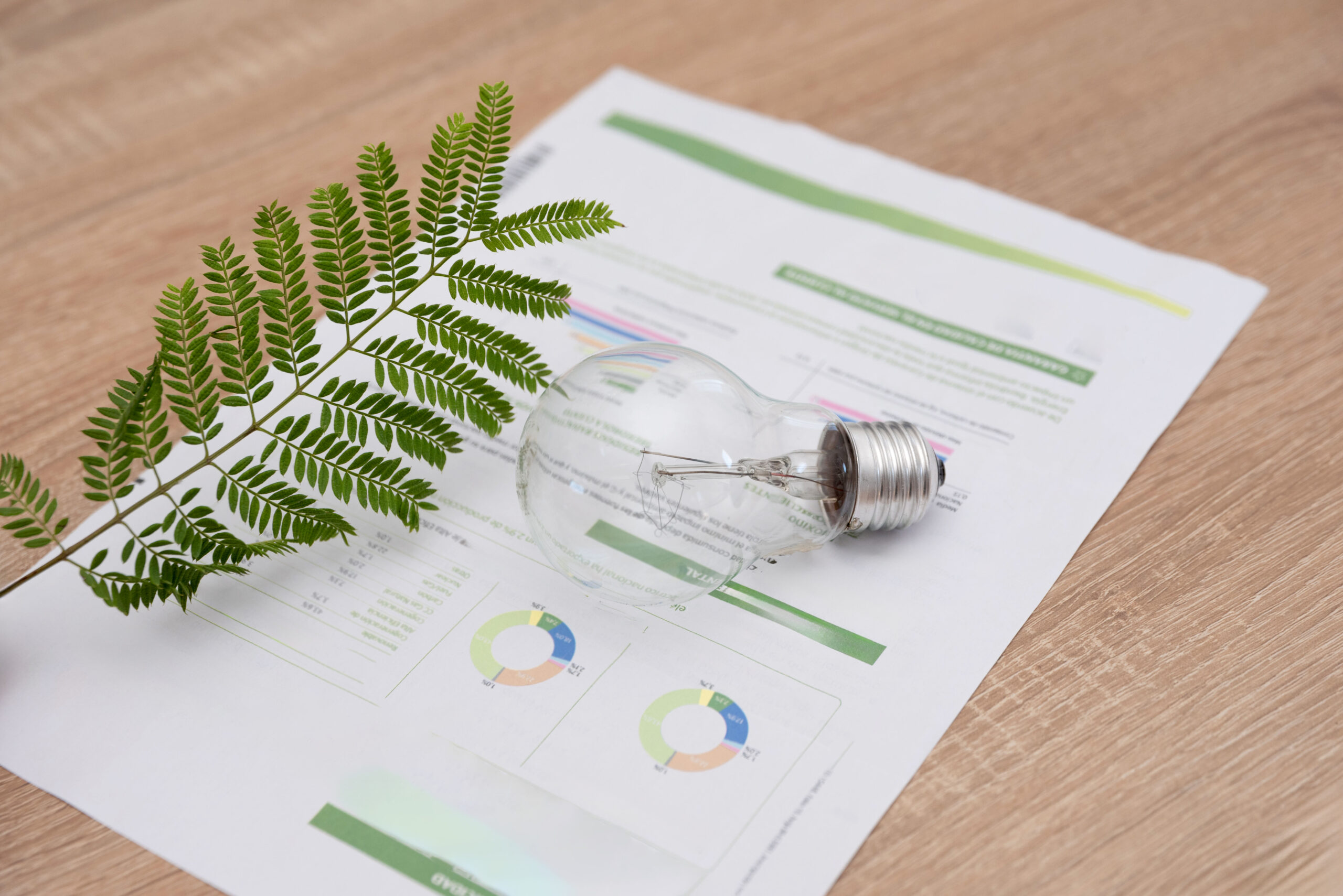 Certyfikaty zielonej energii - Świadectwo pochodzenia energii